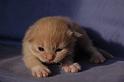 Qian, 14 Tage